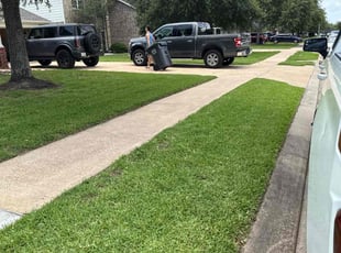 Tania T.'s lawn care service result