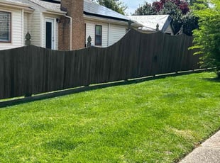 Trisha W.'s turf maintenance service result