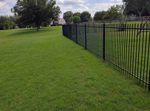 Marie S.'s turf care service result