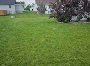 Kibsaim L.'s grass maintenance service result