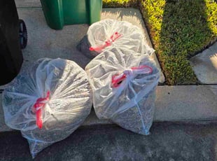 "Daniel S.'s Leaf Removal service result