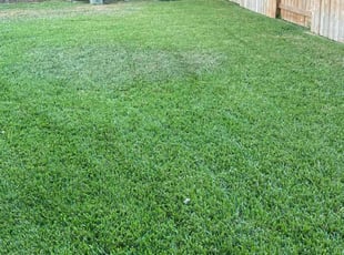 Paige R.'s lawn maintenance service result