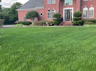 Dean M.'s lawn care services service result