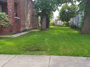 Dave S.'s grass cutting service result