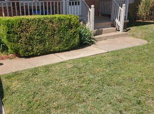 Larry J.'s Bush Trimming service result