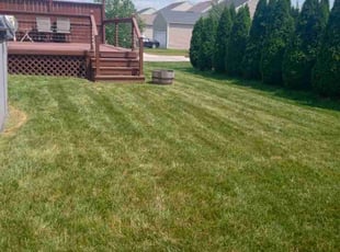 Jennifer A.'s turf care service result