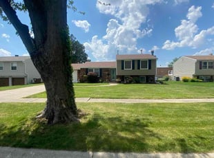 Dennis J.'s turf maintenance service result