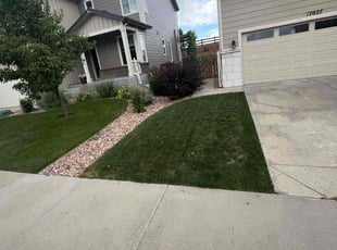 Tori R.'s lawn care services service result