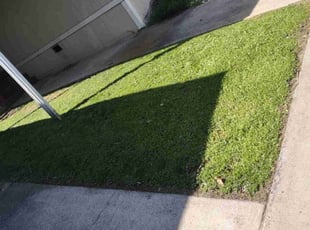 Jody W.'s lawn care service result