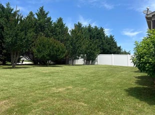 Caterina R.'s lawn maintenance service result