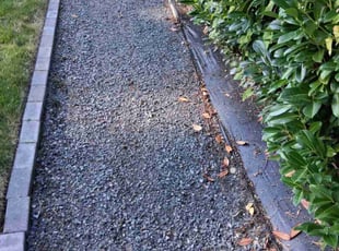 Edgar A.'s Weeding service result