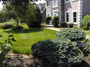 Linda D.'s lawn maintenance service result