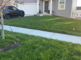 Sam H.'s turf maintenance service result