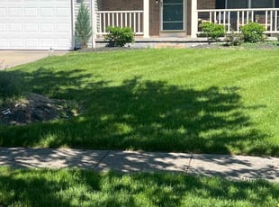 Cindy A.'s grass cutting service result