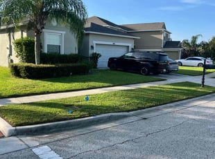 Frank D.'s turf maintenance service result
