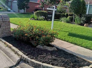 Jane W.'s turf care service result