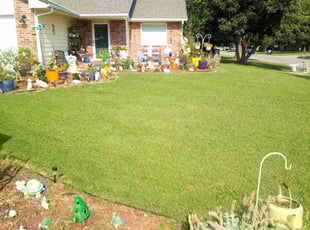 Elizabeth M.'s residential landscaping service result