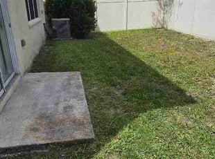 Elias C.'s lawn care services service result