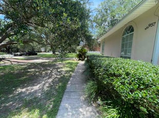 Tina S.'s Tree Trimming service result