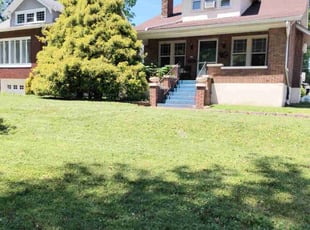 Shirley G.'s lawn service service result