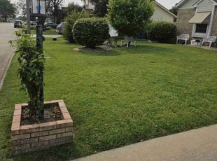 Kristyn D.'s grass maintenance service result