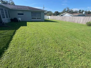 Rita K.'s turf maintenance service result