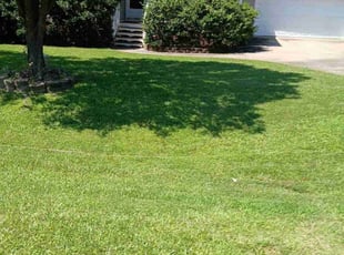 Corinna P.'s lawn service service result