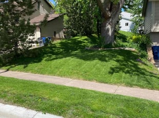 William M.'s turf care service result