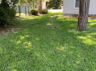 Devonna K.'s turf maintenance service result