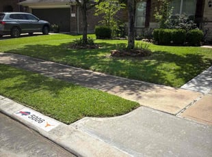 Sridhar N.'s lawn service service result