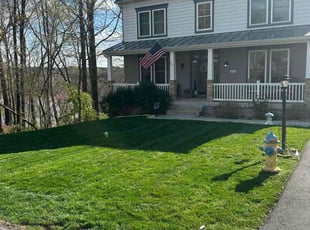 Stephen R.'s grass cutting service result