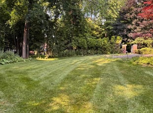 Jessica/Gerald L.'s lawn service service result