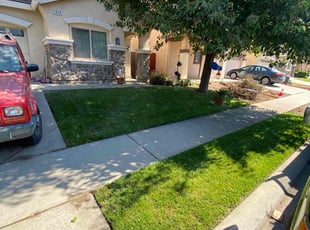 Travis E.'s lawn service service result
