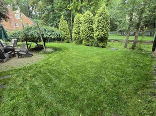 Klyde A.'s grass maintenance service result