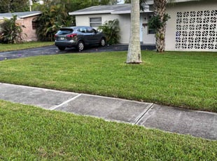 Luz P.'s lawn care services service result