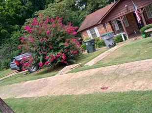 James P.'s Bush Trimming service result