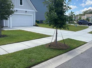 Caressa B.'s turf care service result