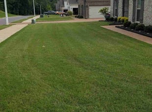 Luz M.'s grass maintenance service result