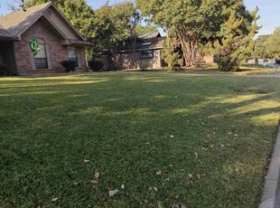 Rashael K.'s turf care service result