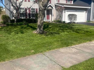 Andre C.'s lawn service service result