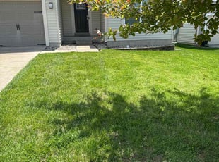 Emily C.'s lawn service service result