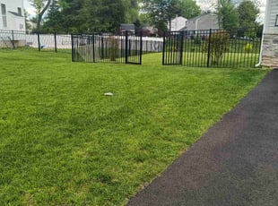Anne H.'s turf maintenance service result