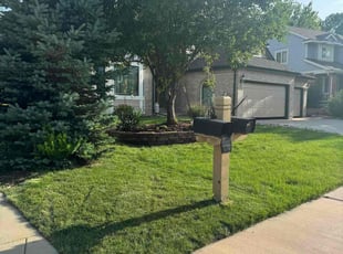 Jessica Z.'s grass cutting service result