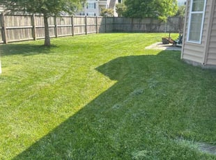 Athena G.'s grass maintenance service result