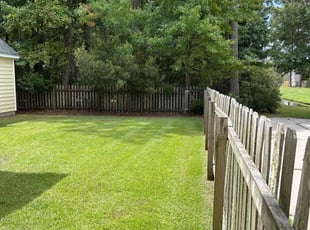 Pete S.'s turf care service result