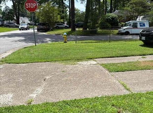 Jose C.'s lawn care services service result