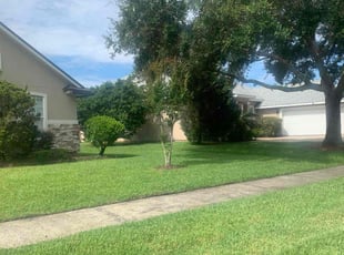 Daniel B.'s lawn care service result