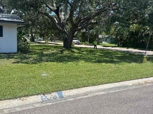 Joseph M.'s lawn care service result