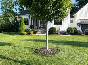 Js L.'s lawn care service result