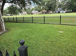 Tania B.'s grass maintenance service result